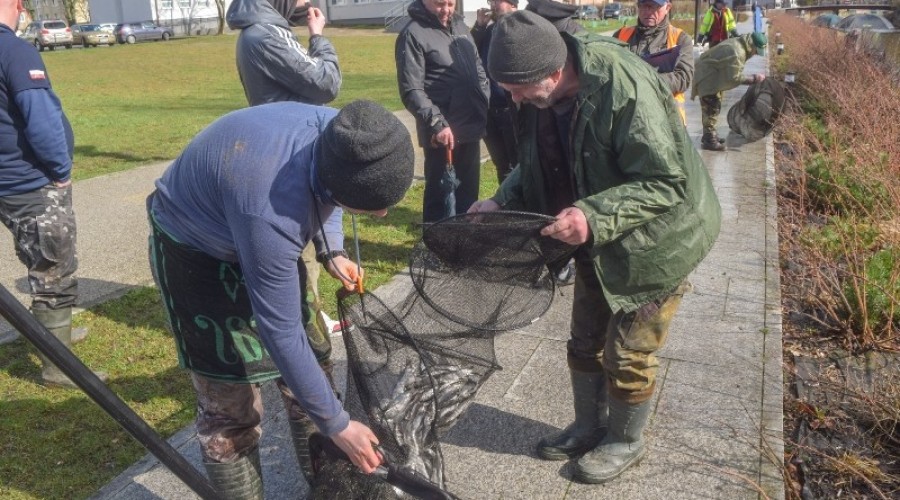 I tura Mistrzostw Koła w wędkarstwie spławikowym z rekordowymi połowami (106)