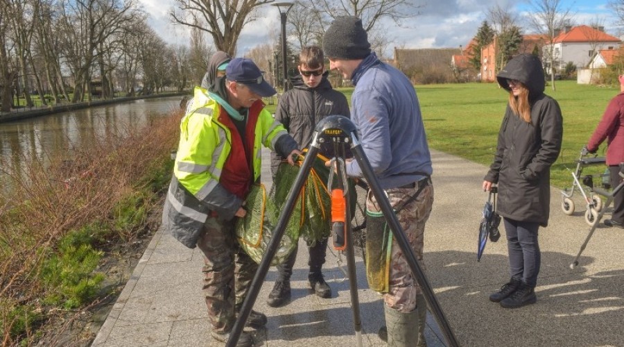 I tura Mistrzostw Koła w wędkarstwie spławikowym z rekordowymi połowami (112)