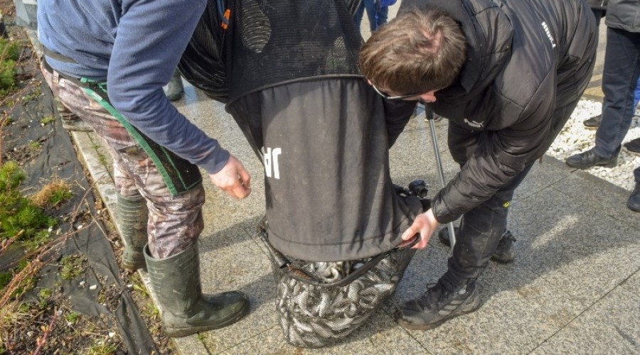 I tura Mistrzostw Koła w wędkarstwie spławikowym z rekordowymi połowami (116)