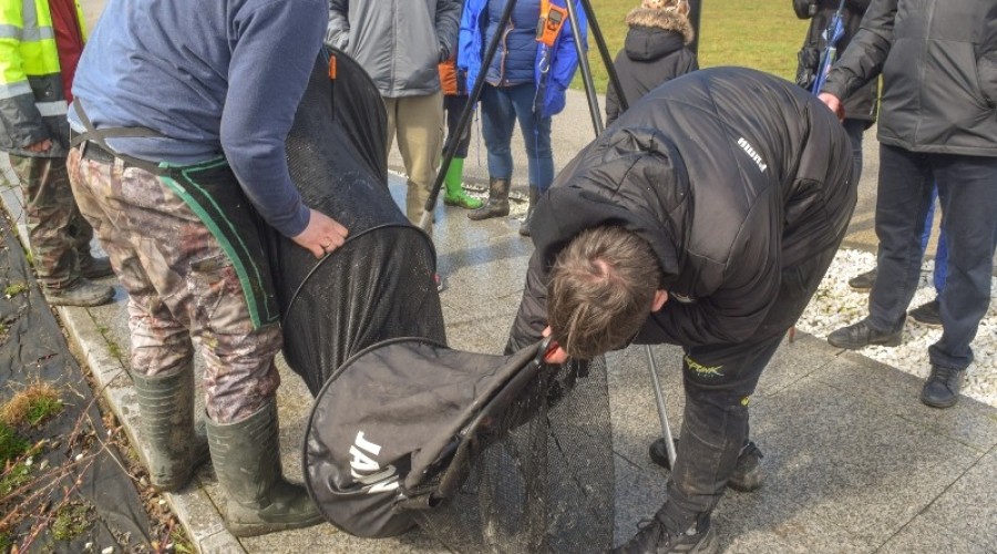 I tura Mistrzostw Koła w wędkarstwie spławikowym z rekordowymi połowami (117)