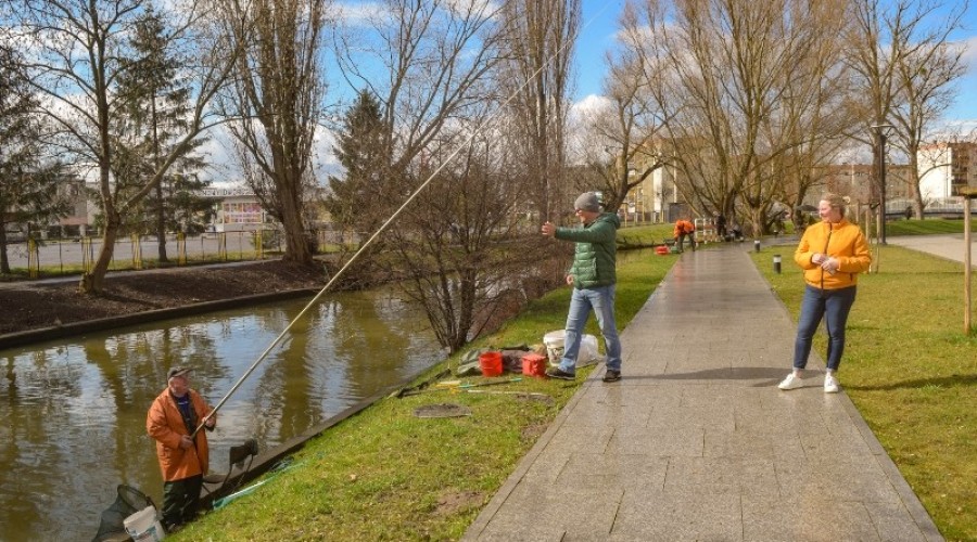 I tura Mistrzostw Koła w wędkarstwie spławikowym z rekordowymi połowami (136)