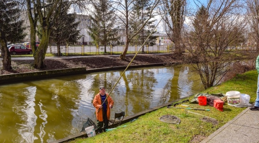 I tura Mistrzostw Koła w wędkarstwie spławikowym z rekordowymi połowami (138)