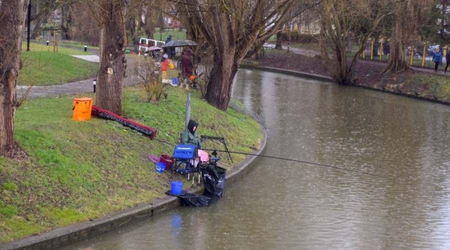 I tura Mistrzostw Koła w wędkarstwie spławikowym z rekordowymi połowami (149)