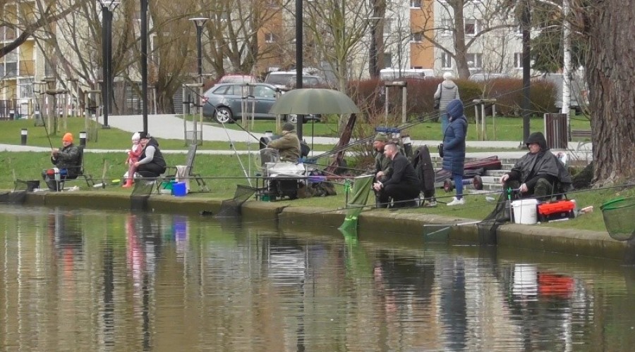 zawody wędkarskie12