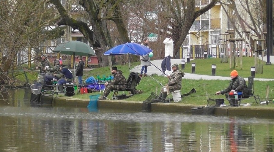 zawody wędkarskie13