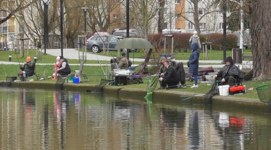 zawody wędkarskie14