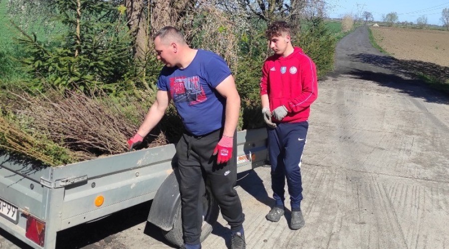 akcja zadrzewieniowa powiat nowodworski12