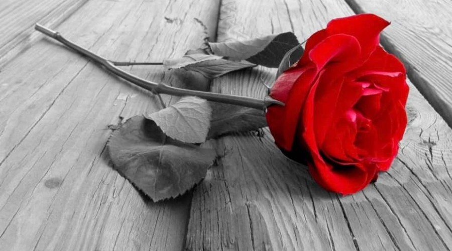 342187158_171200692533930_7058021365644880268_n