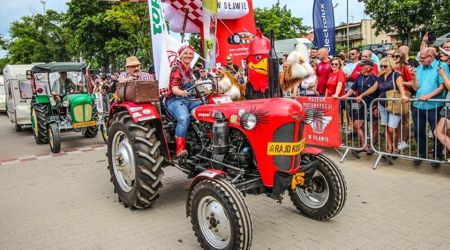 image_processing20230602-1348188-14b6hof