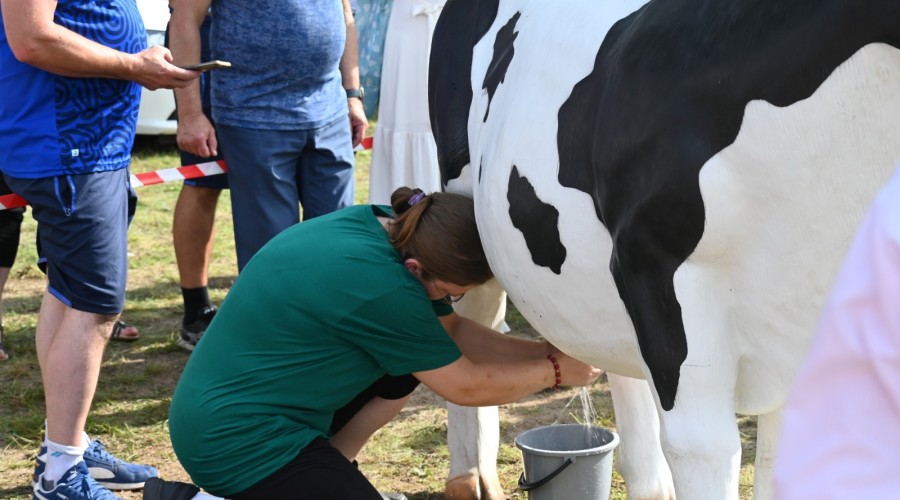 Powiat nowodworski szemud dożynki (15)