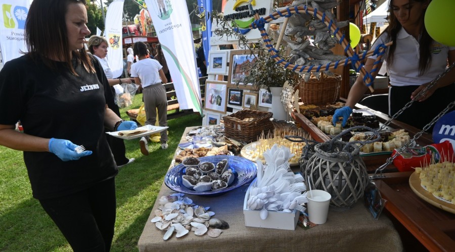 Powiat nowodworski szemud dożynki (18)