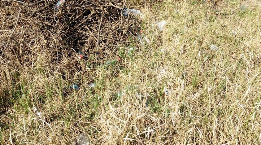 sprzątanie sztutowo (1)