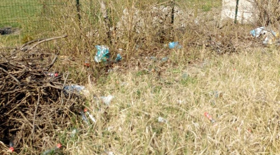 sprzątanie sztutowo (3)