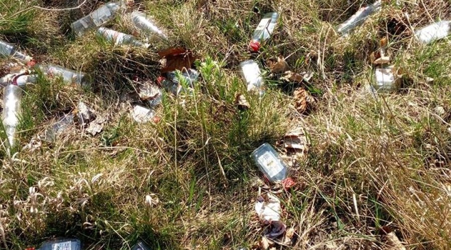 sprzątanie sztutowo (6)