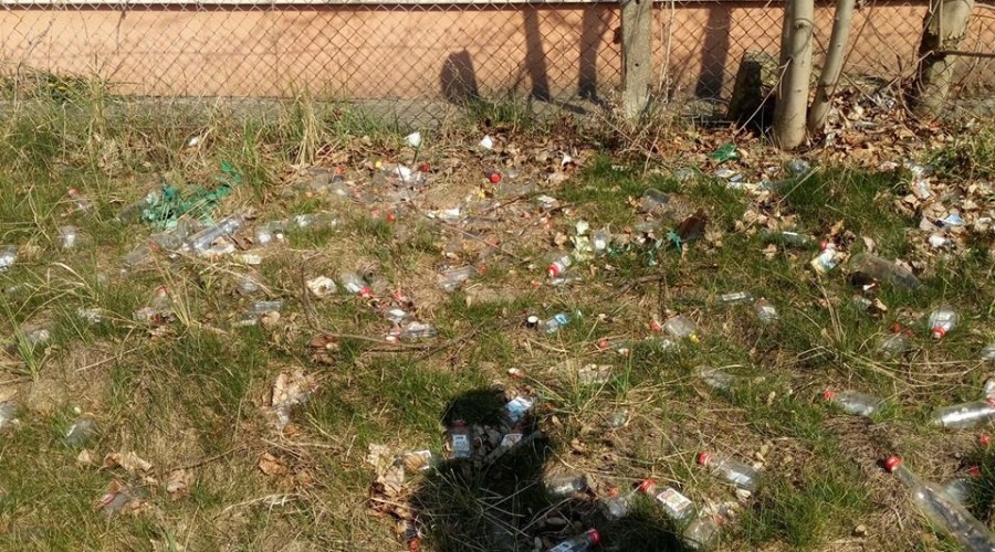 sprzątanie sztutowo (9)