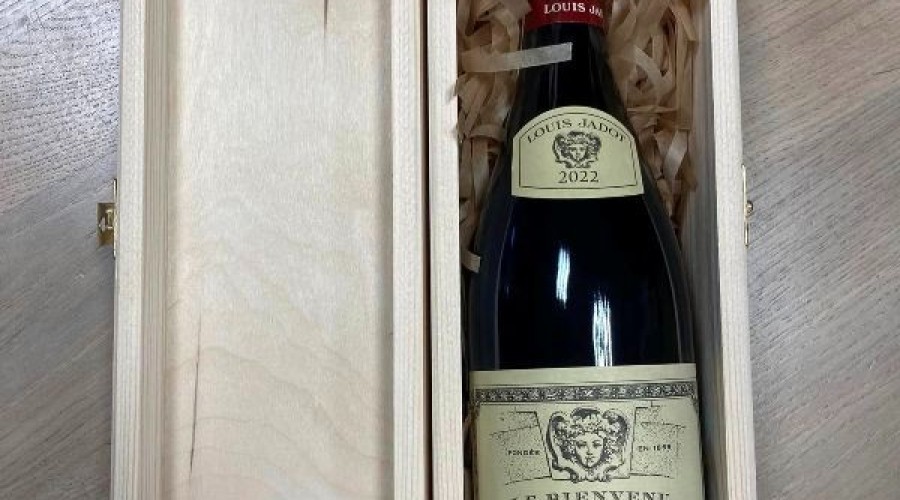 wośp samorządowcy02