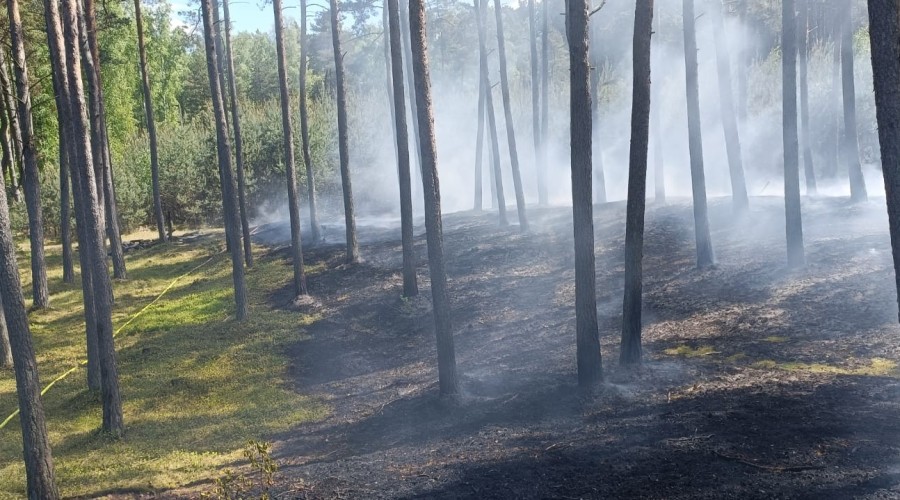 441528822_782308880710845_6821468596102223321_n