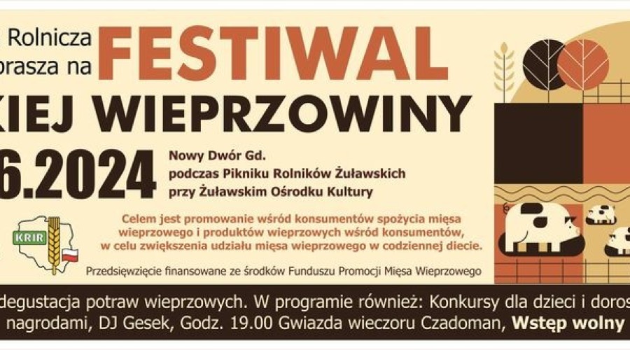 443713790_938385791413519_4346874158079726510_n