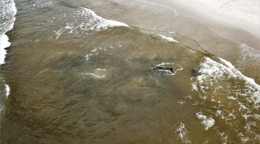 wrak stegna plaża08