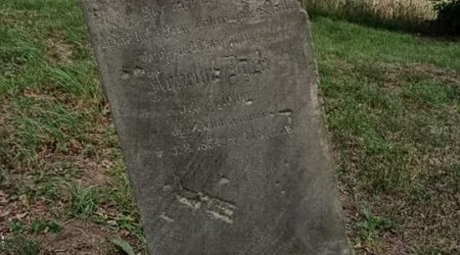 Dni otwarte zulawskich zabytkow (4)