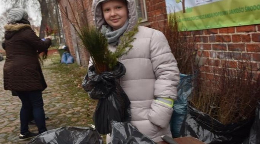 akcja-drzewko-za-butelkę-18-e1543111778263