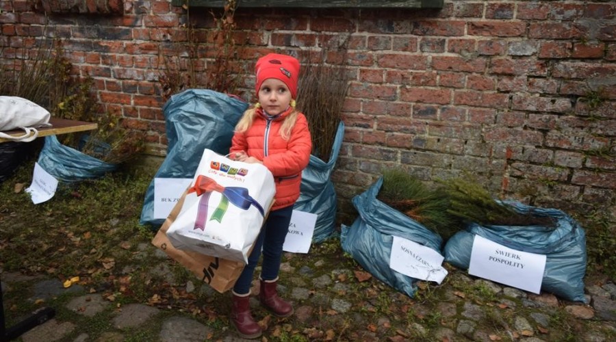 akcja-drzewko-za-butelkę-20