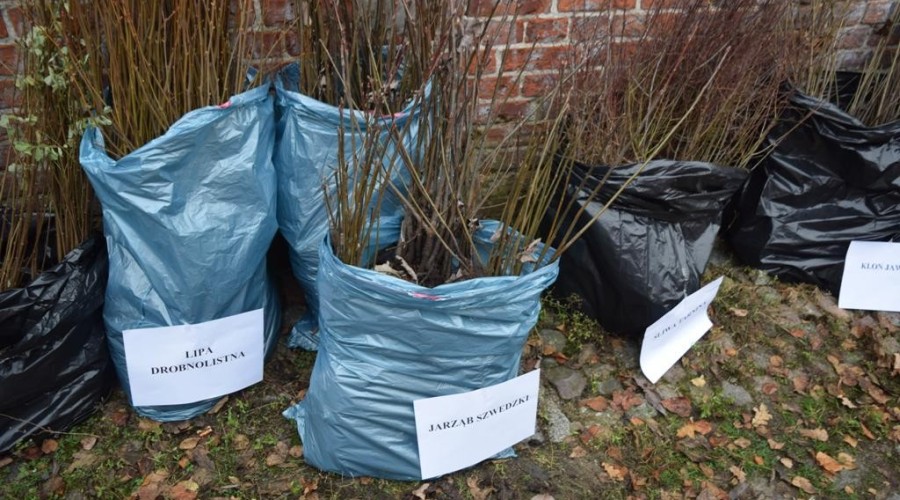 akcja-drzewko-za-butelkę-30