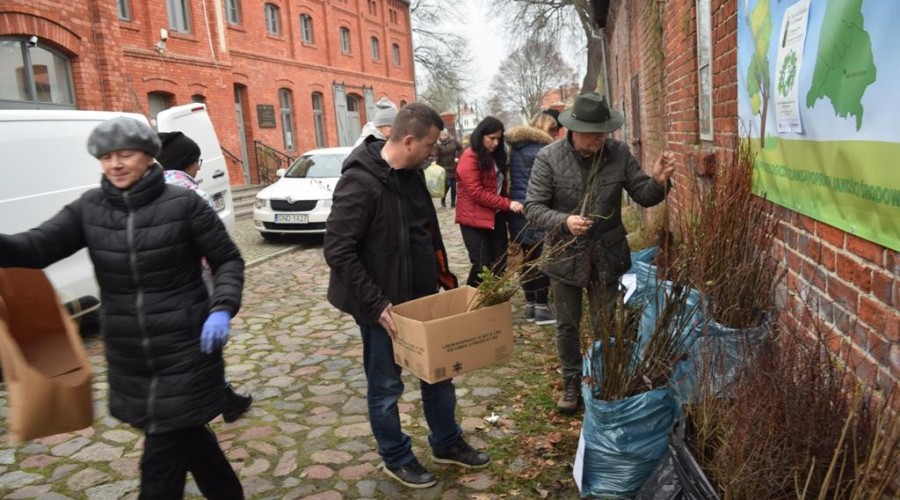 akcja-drzewko-za-butelkę-35