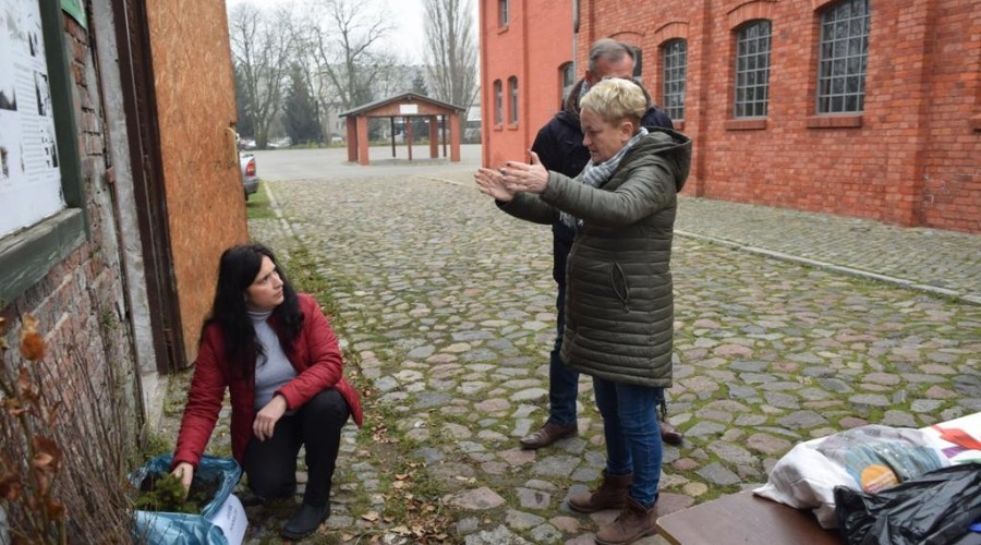 akcja-drzewko-za-butelkę-5