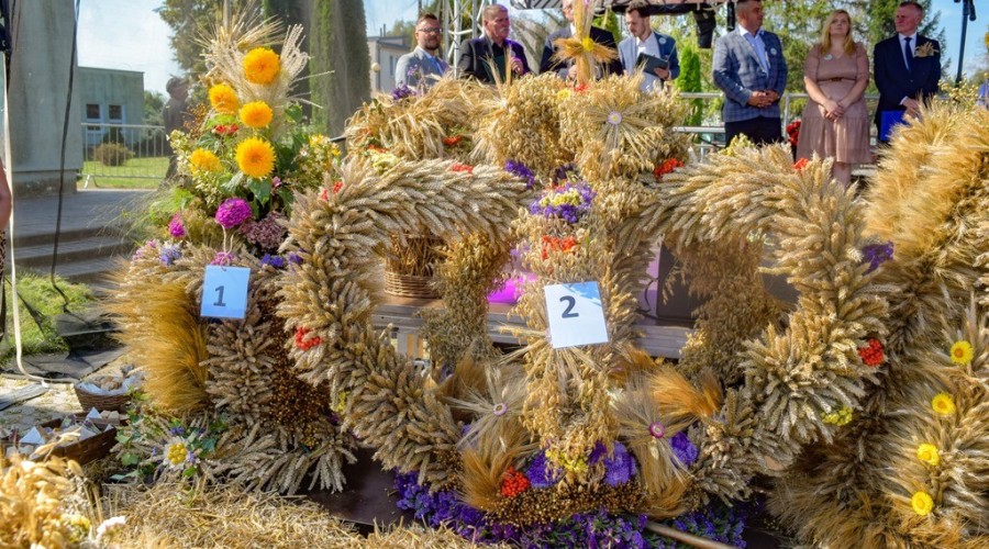 dozynki gminy owy wór gd Marzęcino 2024 (39)