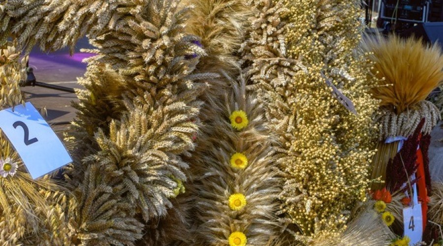 dozynki gminy owy wór gd Marzęcino 2024 (44)