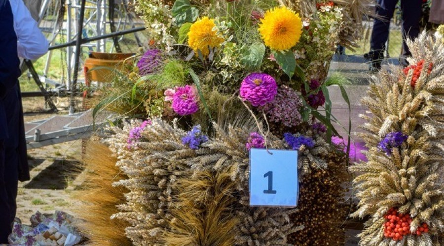 dozynki gminy owy wór gd Marzęcino 2024 (46)