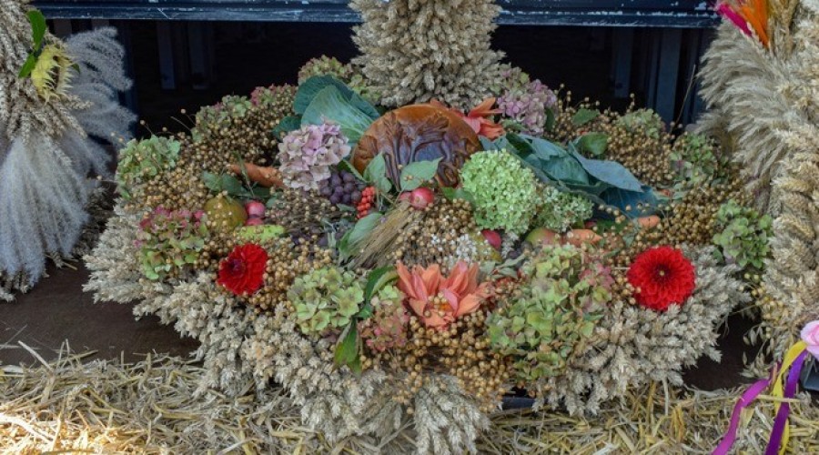 dozynki gminy owy wór gd Marzęcino 2024 (51)