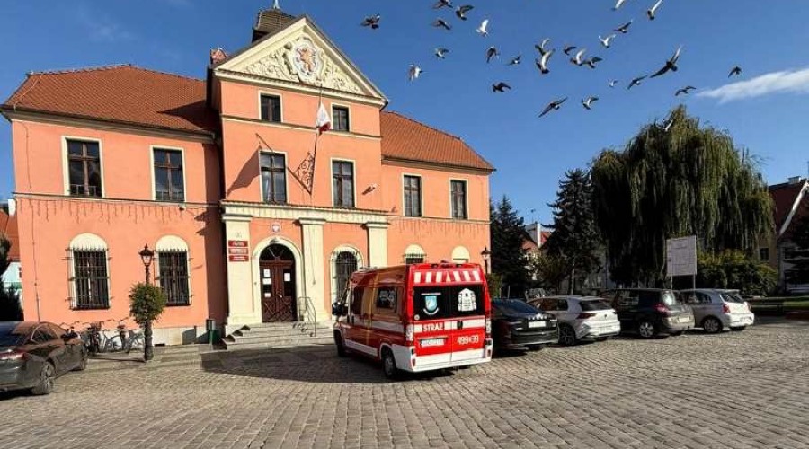 463459822_10224349333745734_6014448282795744727_n