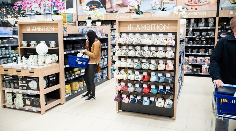 mrówka nowy dwór gdanski19