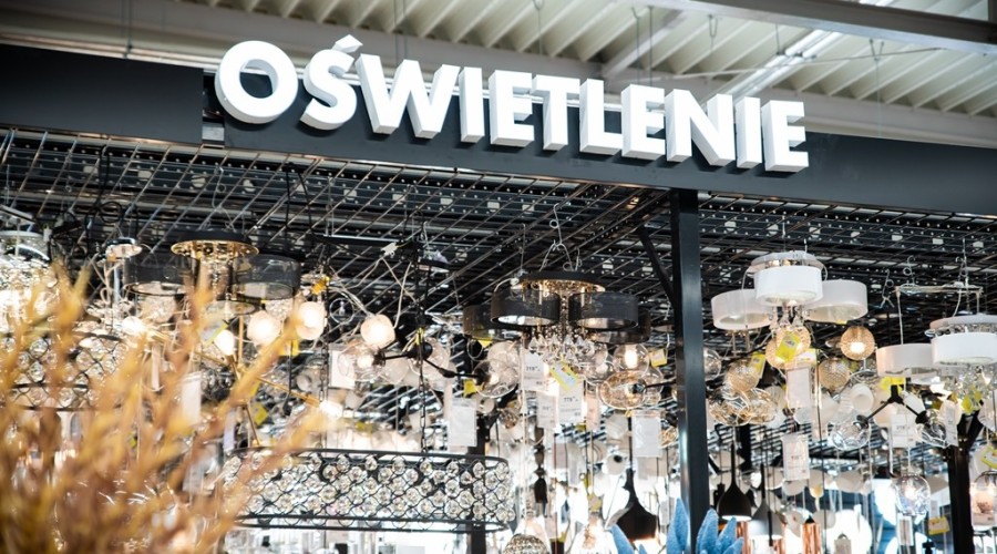 mrówka nowy dwór gdanski20