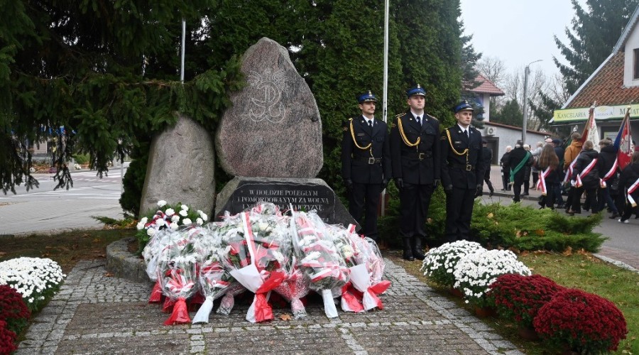 narodowe swieto niepodległosci w nowym dworze gd (4)