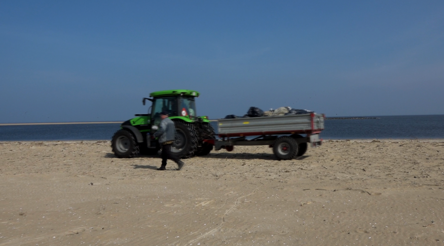 sprzatanie mewiej łachy (19)