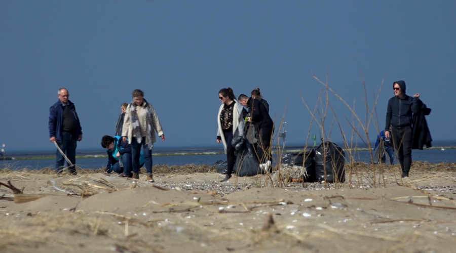 sprzatanie mewiej łachy (20)