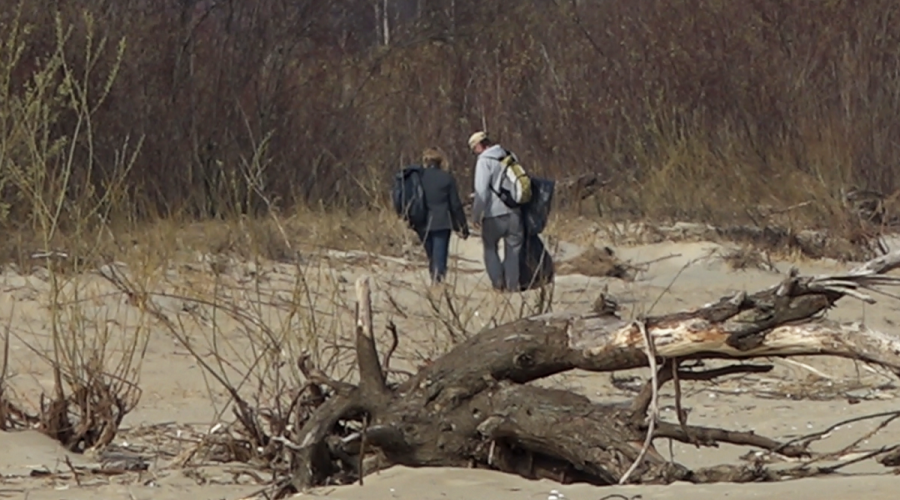 sprzatanie mewiej łachy (4)