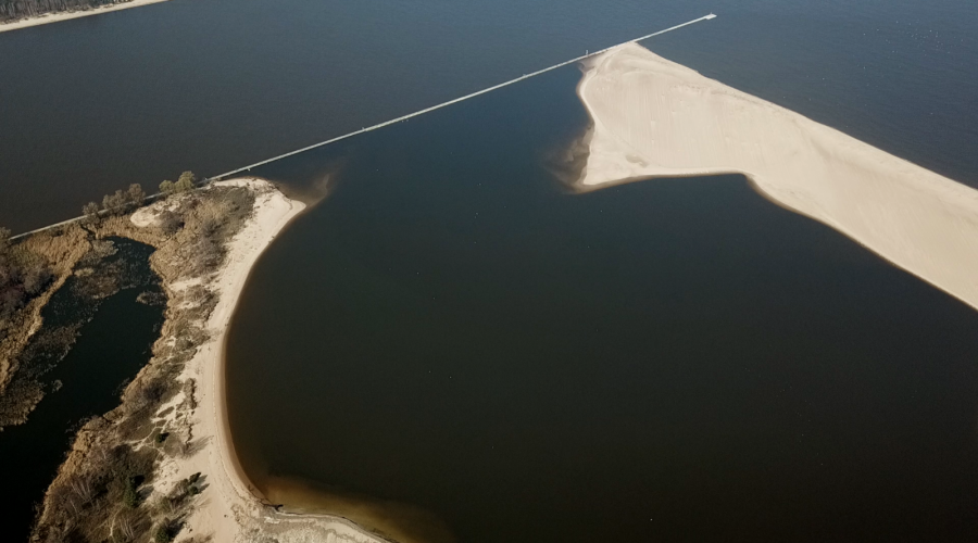 sprzatanie mewiej łachy (7)