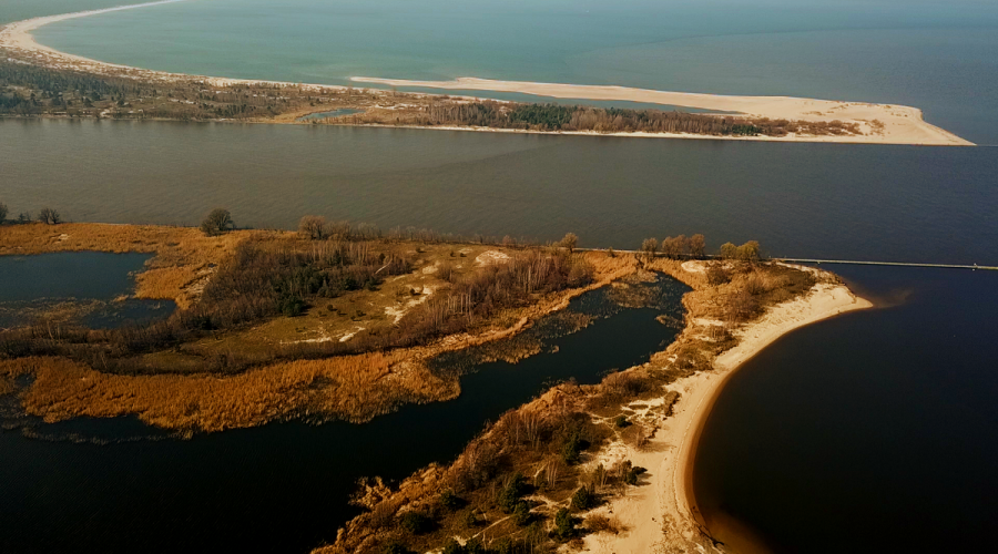 sprzatanie mewiej łachy (8)