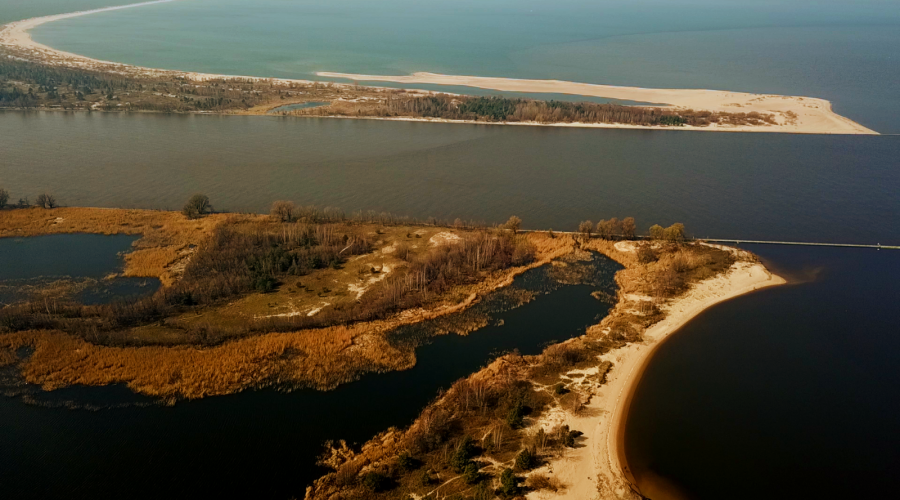 sprzatanie mewiej łachy (9)