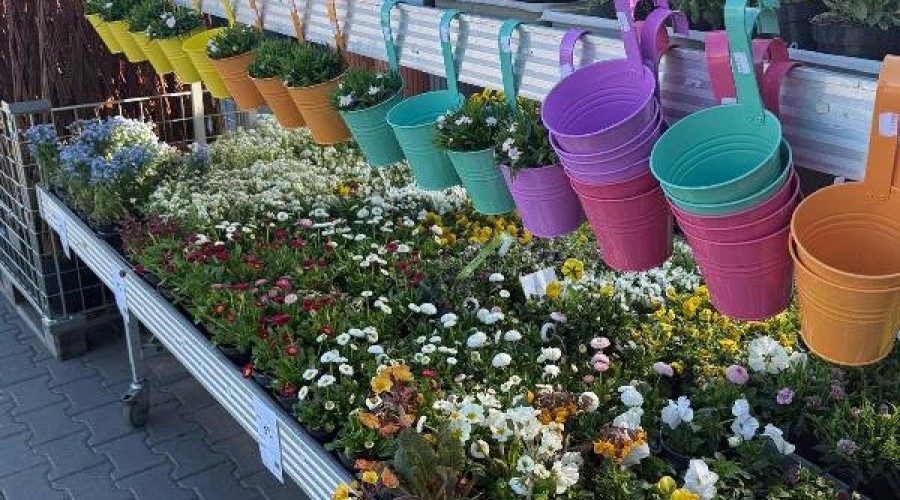 psb mrówka ndg gazetka oferta (2)