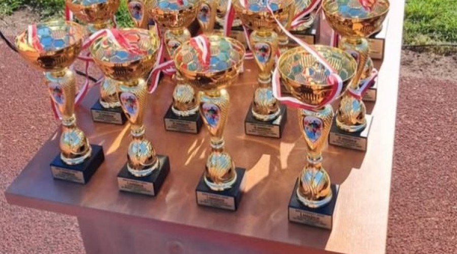 bieg pamieci sztutowo (25)