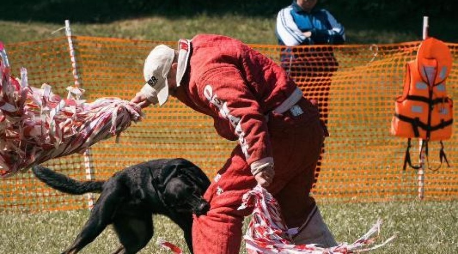 zawody monidioring sztutowo (5)