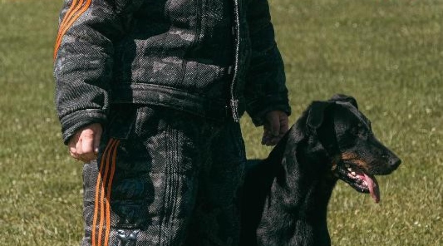 zawody monidioring sztutowo (7)