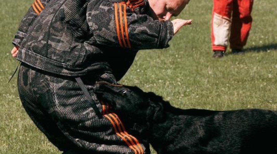 zawody monidioring sztutowo (8)