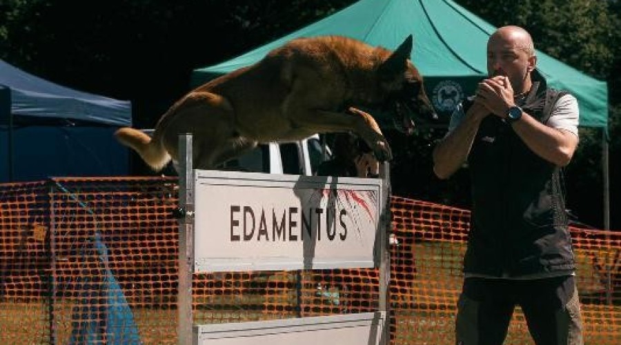 zawody monidioring sztutowo (9)