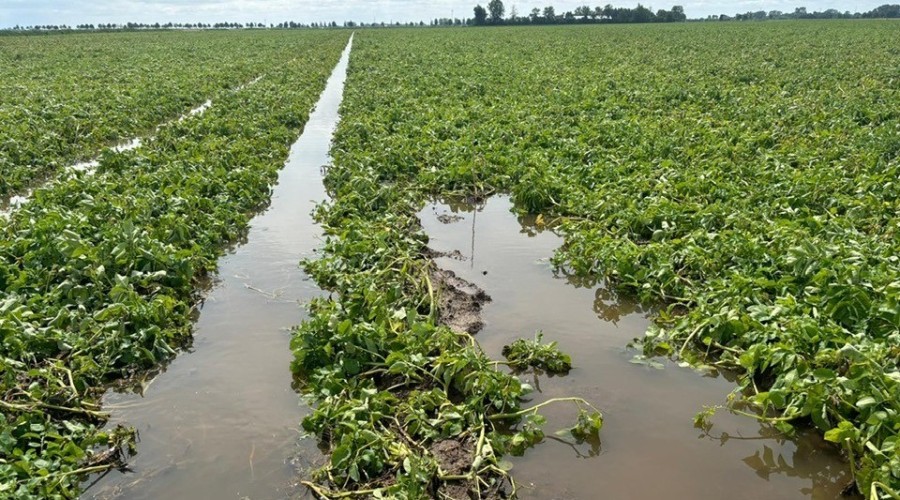 515506114_10227230890262846_2948544001805168325_n